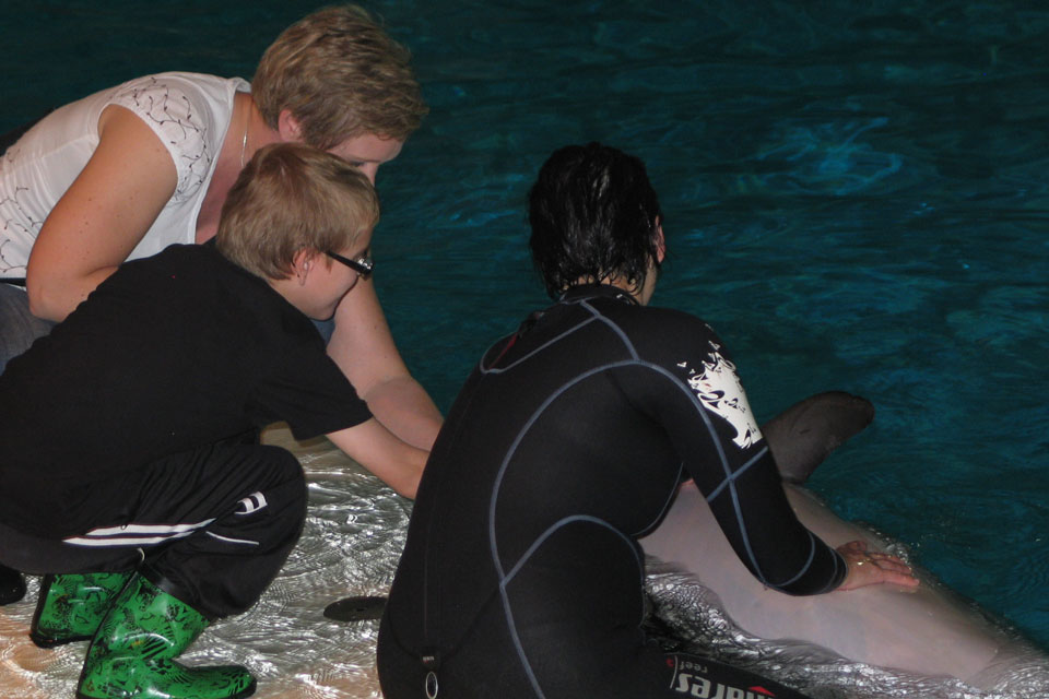 Ett foto från ett delfinarium. Ser ryggarna på två vuxna som sitter på huk, den ena iklädd våtdräkt  mellan dem sitter en pojke. 