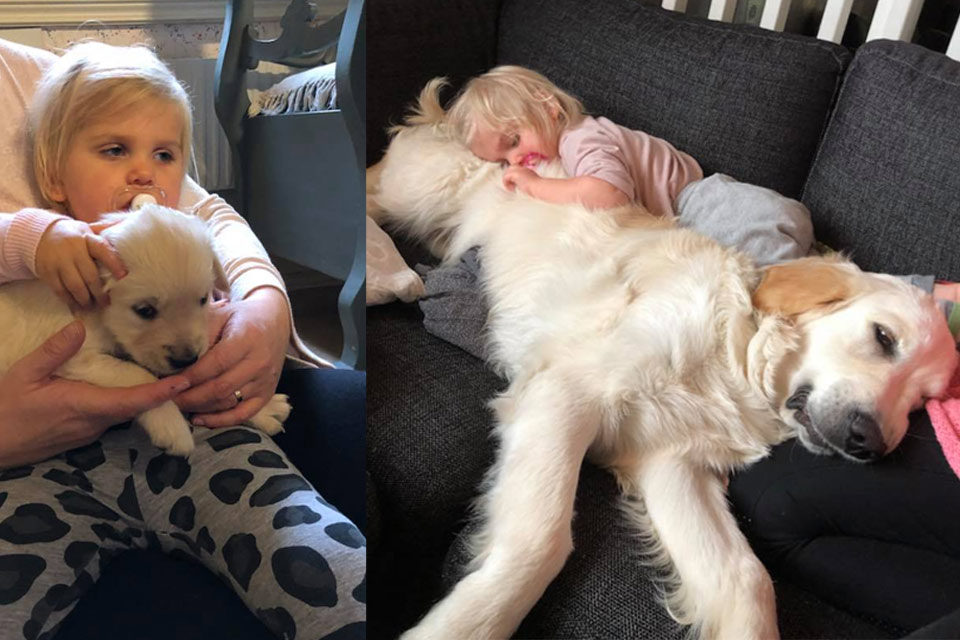 En liten flicka med en hundvalp och samma flicka men hunden har blvit stor.