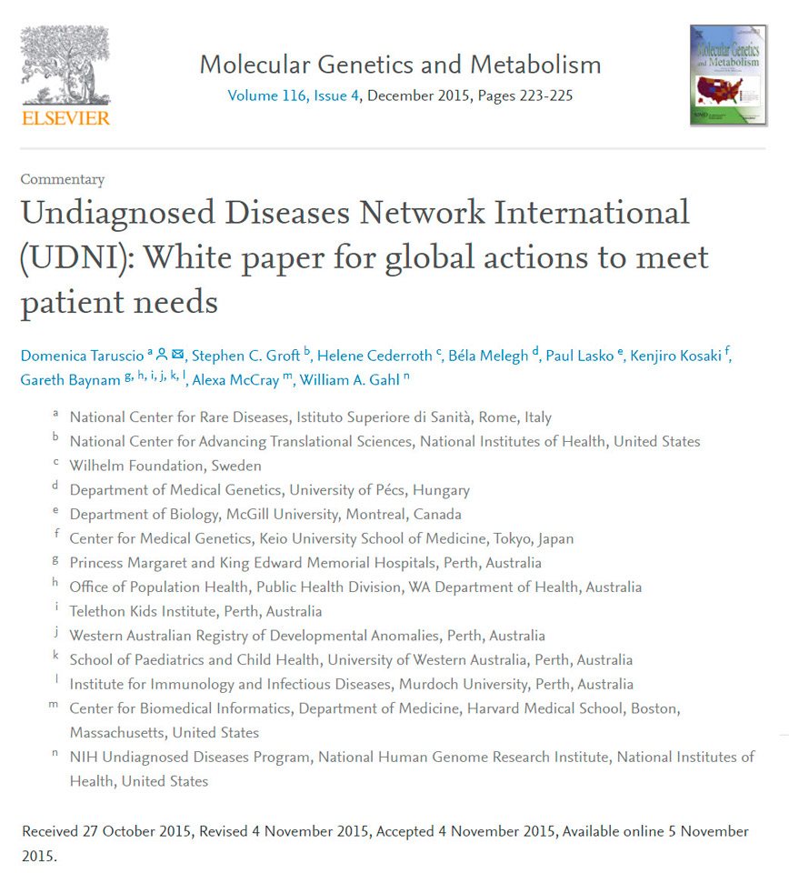 Bild med länk till Undiagnosed Diseases Network International UDNI White paper for global action to meet patient needs