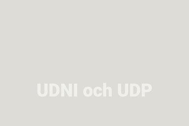 Grå bakgrund med vit text: UDNI och UDP